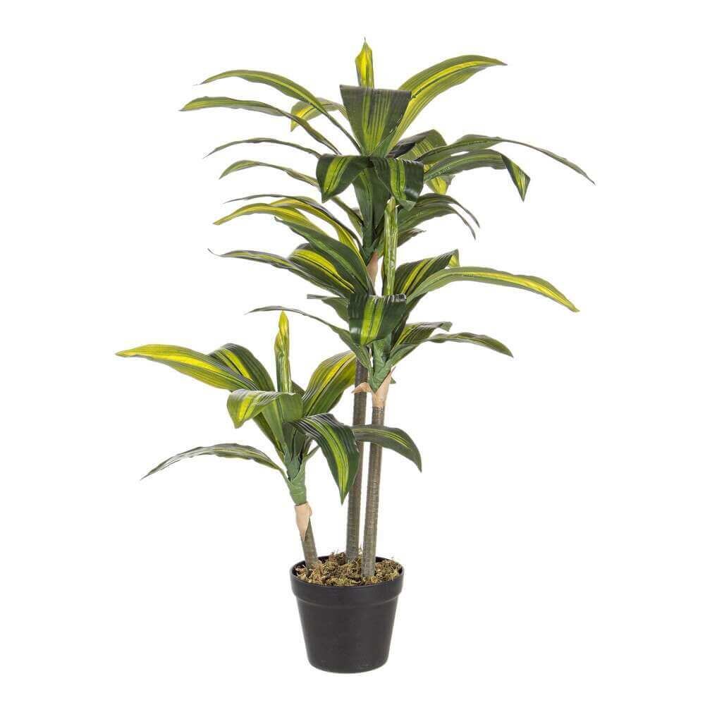 Pianta Dracaena con Vaso 43Foglie H88Cm (2 Pezzi) – SERAPHIM