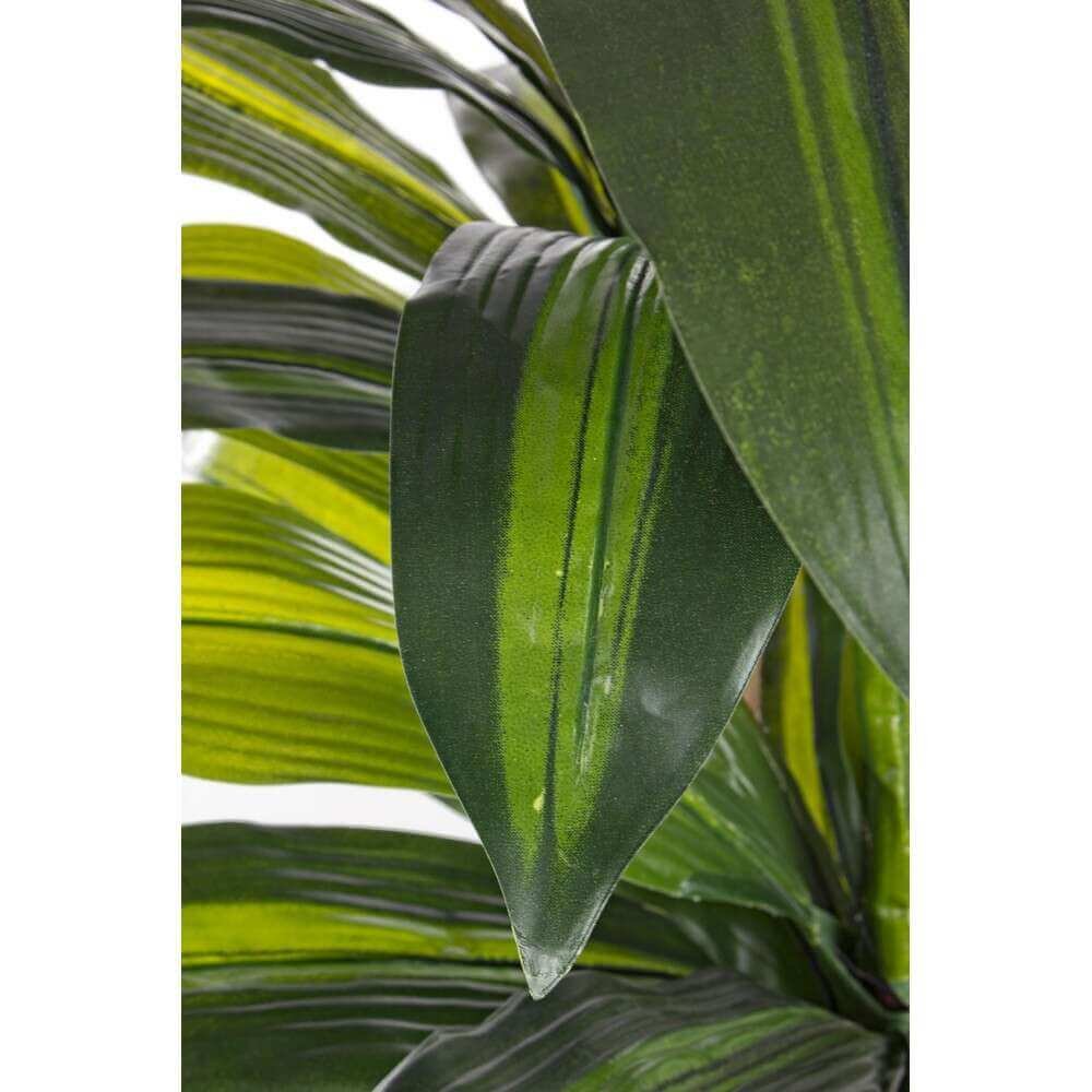 Pianta Dracaena con Vaso 43Foglie H88Cm (2 Pezzi) – SERAPHIM