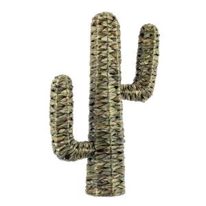 Cactus Saguaro Verde H73 (2 Pezzi) – Pyris